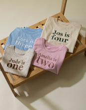 Load image into Gallery viewer, Personalised Embroidered Name is Age Birthday T-shirt